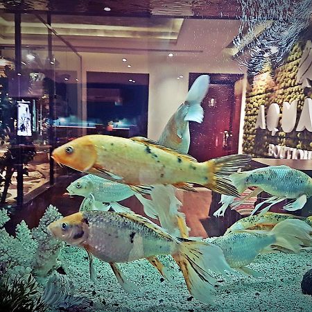 Aquarium Hotel Riyadh Ngoại thất bức ảnh