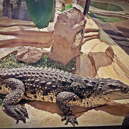 Aquarium Hotel Riyadh Ngoại thất bức ảnh
