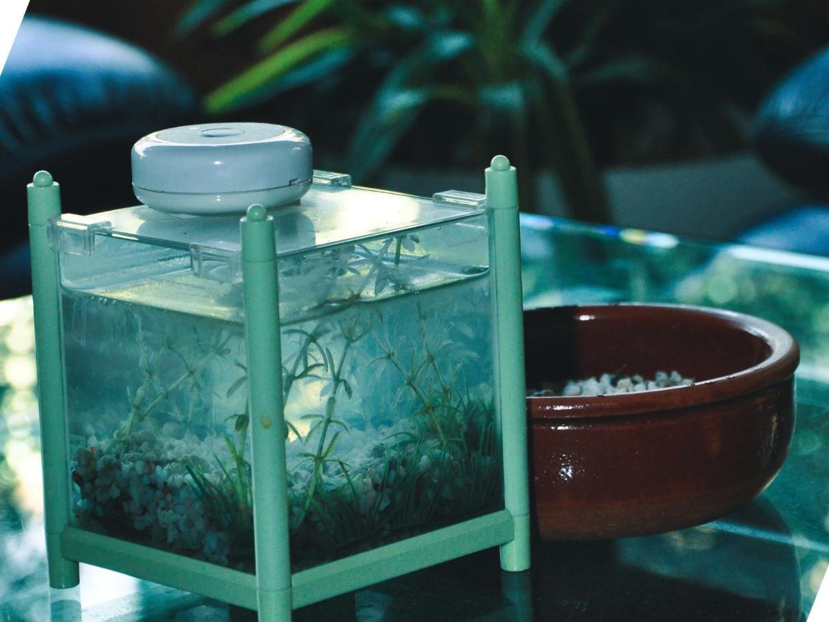 Aquarium Hotel Riyadh Ngoại thất bức ảnh
